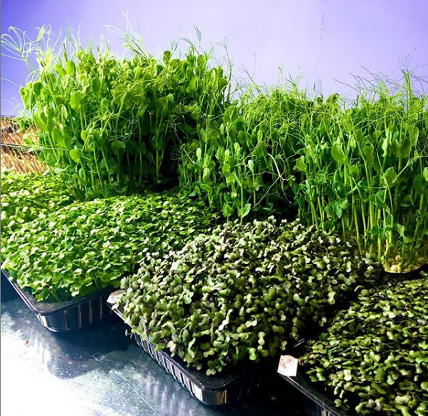 [Николай Сабзир] Организация и правильные продажи _0.png